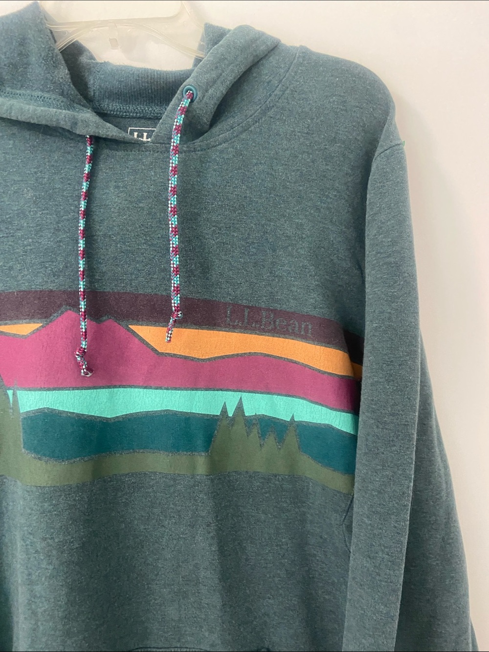 L.L. Bean Cozy Camp Graphic Hoodie - Picture 3 of 12